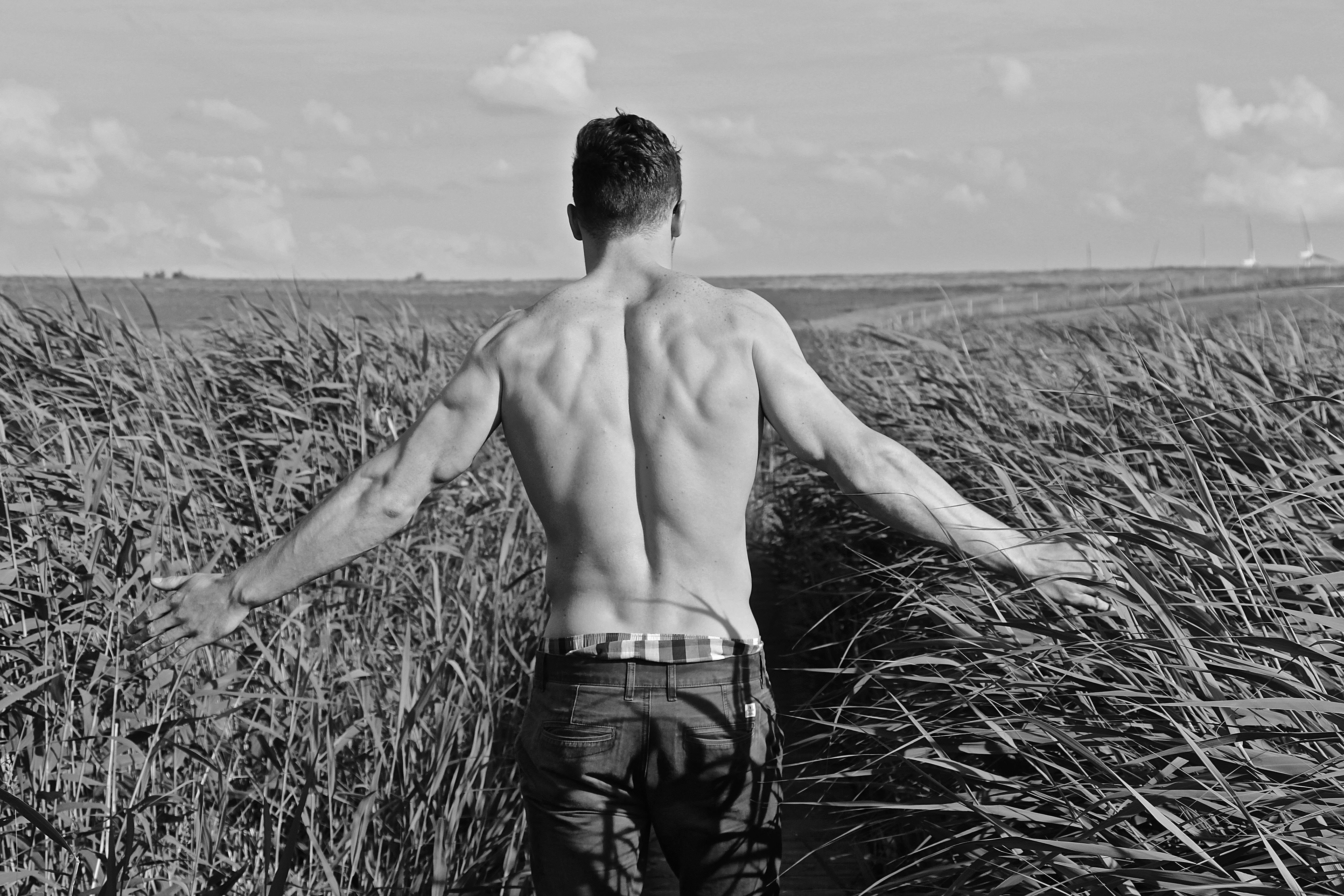 adult-agriculture-back-view-269198